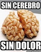 Image result for Meme De Sin Cerebro