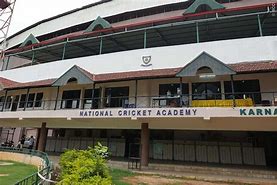 Image result for Cricket Academy