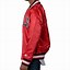 Image result for NBA Chicago Bulls Varsity Jacket