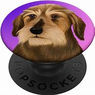 Image result for Dog Pop Socket Dachshund