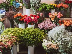 Image result for Flower Places Near Me