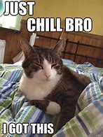 Image result for Just Chill EW Meme