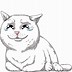 Image result for Cat Crying Meme Can We Hold Hands