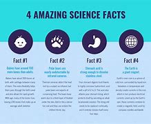 Image result for 6s Facts