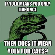 Image result for Yolo Cat