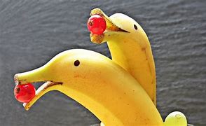 Image result for Cute Banana