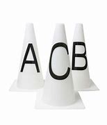Image result for Dressage Training Cones