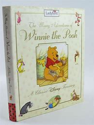 Image result for The Many Adventures of Winnie the Pooh Book