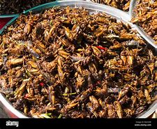 Image result for Fried Locust