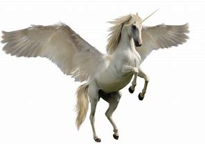 Image result for Unicorn On White Background