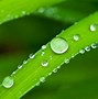 Image result for Liquid Particles