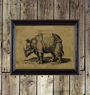 Image result for Medieval Bestiary Rhinoceros