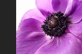 Image result for 1 Inch Sensor