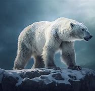 Image result for Largest Polar Bear Ever Recorded
