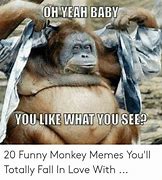 Image result for Monkey Sleeping Meme