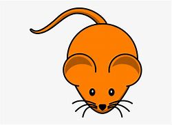 Image result for Pics of Mouse Face
