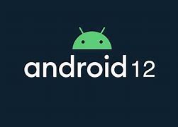 Image result for Android Version 12