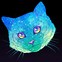 Image result for Crazy Galaxy Cat