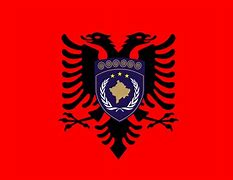 Image result for Pristina Flag