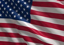 Image result for The United States Banderas