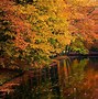 Image result for Fall iPad Wallpaper