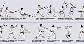 Image result for Japanese Jiu Jitsu Techniques