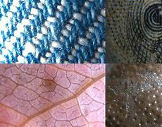 Image result for iPhone Microscope Camera Adapter