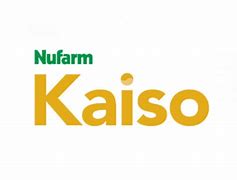 Image result for Kaiso Computer