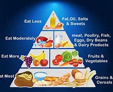 Image result for Define Food Pyramid