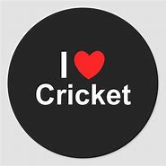 Image result for Cricket Lover Group Logo
