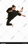 Image result for Freestyle Martial Arts Weapons