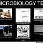 Image result for Microbiologist Meme