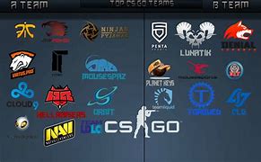 Image result for CS:GO Pro Teams