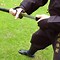 Image result for Martial Arts Styles