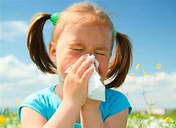 Image result for Children Allergies