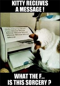 Image result for Cat Printer Meme