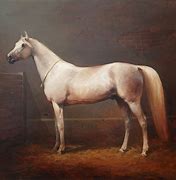 Image result for Horse Painting Artists