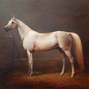 Image result for Horse Racing Painting Artists