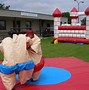 Image result for Sumo Ring