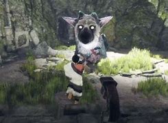 Image result for Trico Baby the Last Guardian