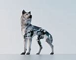 Image result for Small Robot Dog