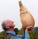 Image result for World's Biggest Potato