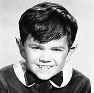 Image result for Disney Young Loner Butch Patrick