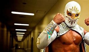 Image result for How to Make Mexican Wrestling Mask