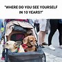Image result for Stay at Home Dogs Meme