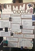 Image result for Chocolate Science Fair Projects