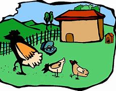 Image result for Chicken Clip Art