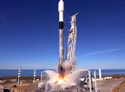 Image result for Sloth Photobombs Rocket Launch Today