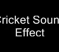 Image result for Cricket Noises