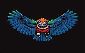 Image result for Flying Owl Vector